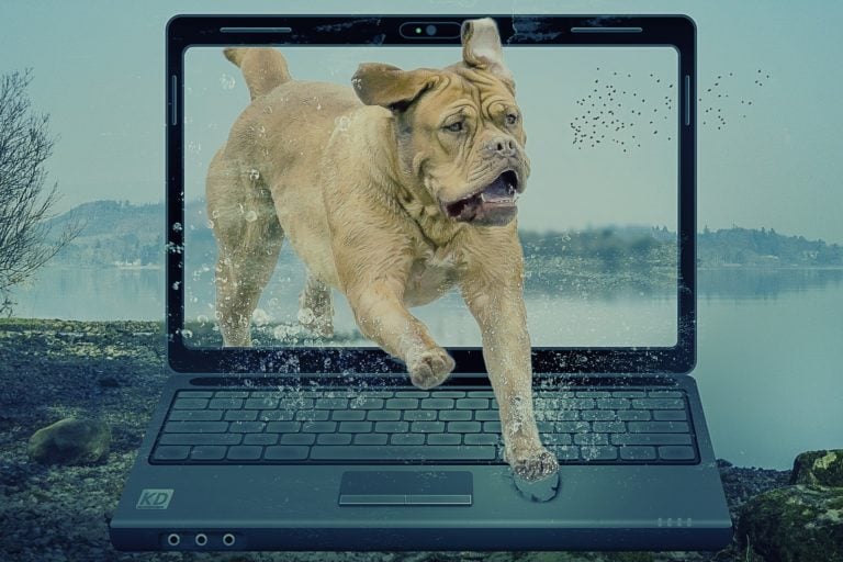 dog running out from a laptop